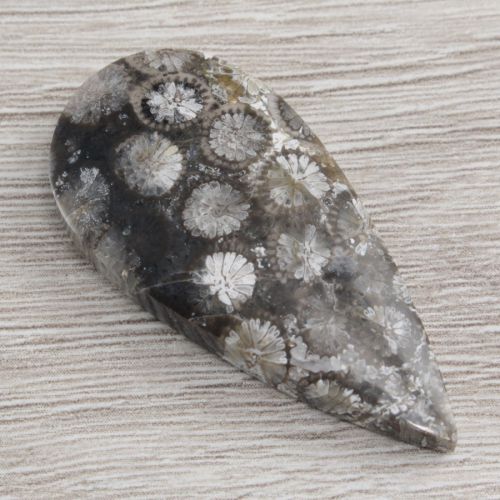 162_koral_fossil_kaboszon_-_koral_kaboszon_-_naturalny_kora0