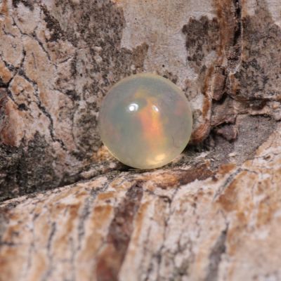 Opal z Etiopii kaboszon  5,08 mm OPA0189