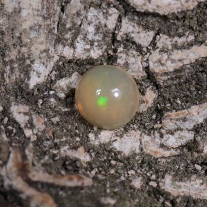 Opal z Etiopii okrągły kaboszon fi 4,96 mm OPA0608